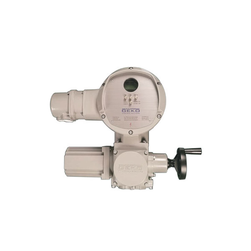 Integrated electric actuator with on-site control