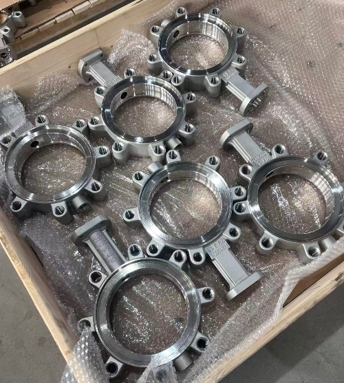 Lug Butterfly Valve